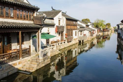 时尚小鸡救援